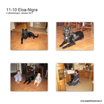 Eloa-Nigra in haar nieuwe huis